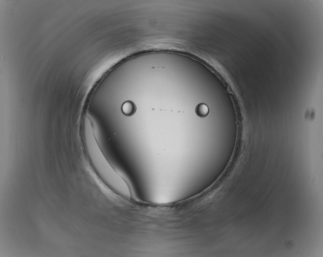 X0000110911285200907021426