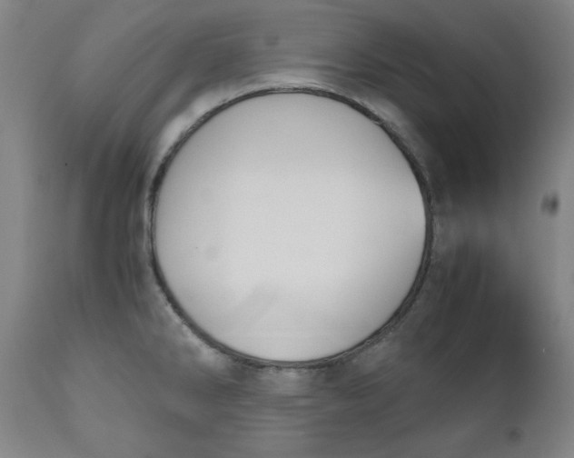 X0000110911286200907021426