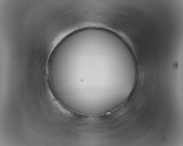 X0000110911287200907021426