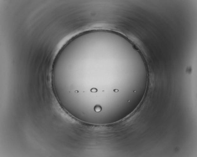 X0000110911288200907021426