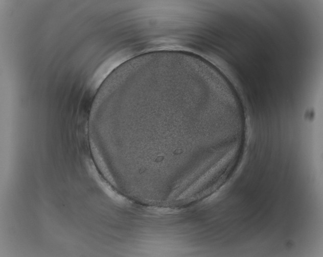 X0000110911289200907021426