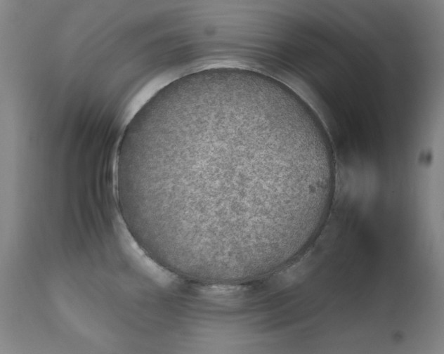 X0000110911290200907021426