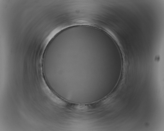 X0000110911291200907021426