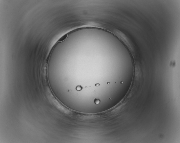 X0000110911292200907021426