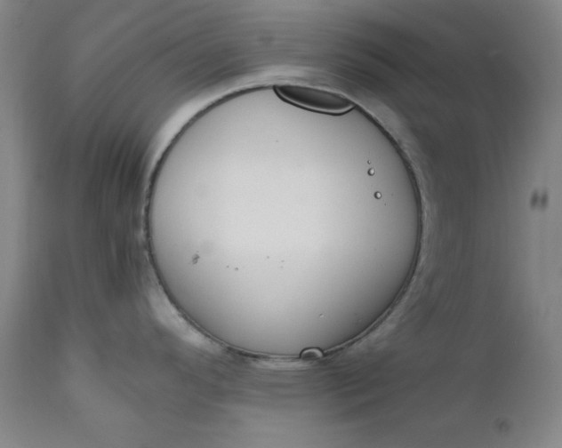 X0000110911296200907021426