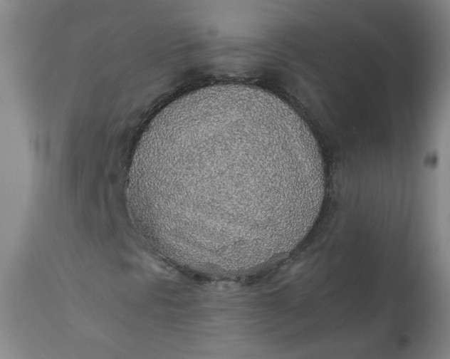 X0000110911297200907021425