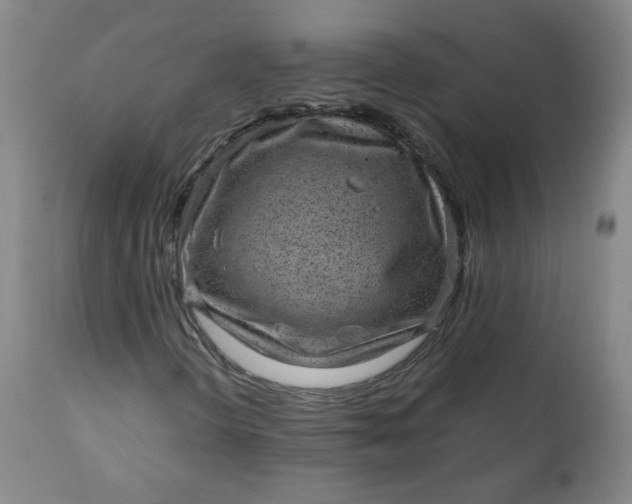 X0000110911298200907021425