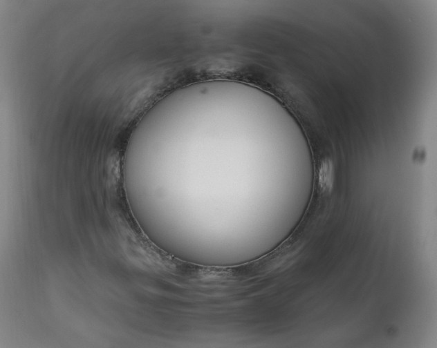 X0000110911299200907021425