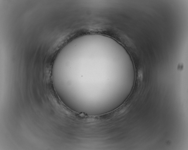 X0000110911300200907021425