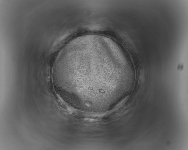 X0000110911301200907021425