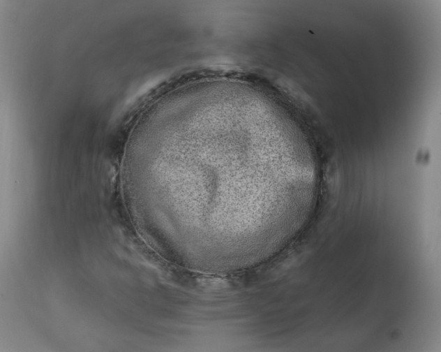 X0000110911302200907021425