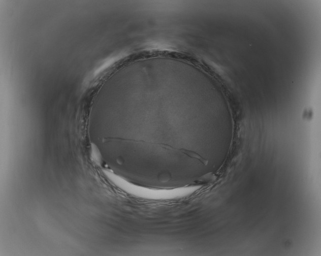 X0000110911303200907021425