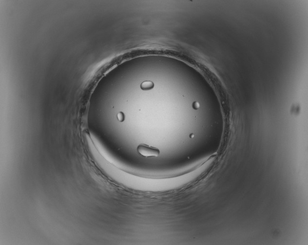 X0000110911304200907021425