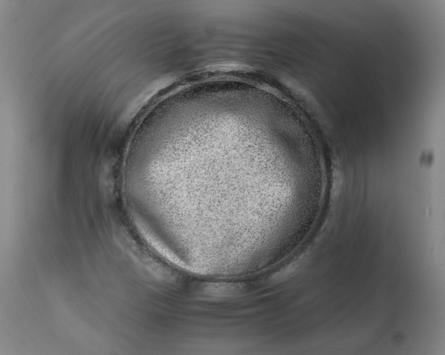 X0000110911305200907021425