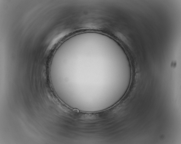 X0000110911307200907021425