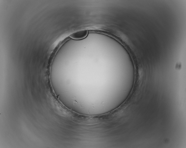 X0000110911308200907021425