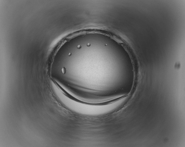 X0000110911310200907021425