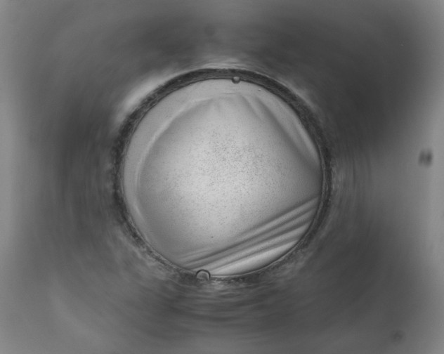 X0000110911311200907021425