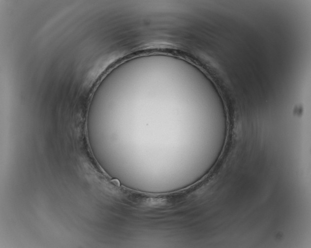 X0000110911313200907021425