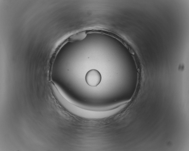 X0000110911316200907021425