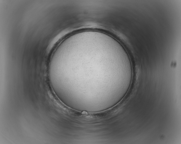 X0000110911318200907021425