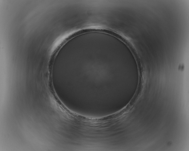 X0000110911319200907021425