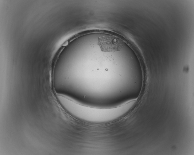 X0000110911320200907021425