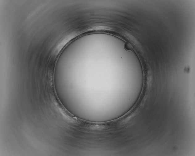 X0000110911321200907021425