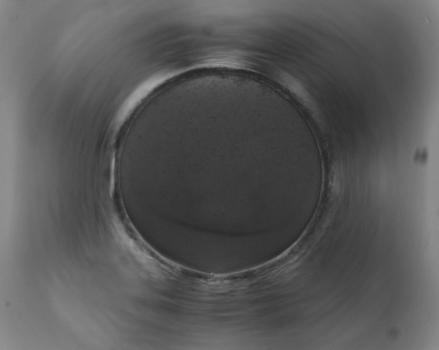 X0000110911323200907021425