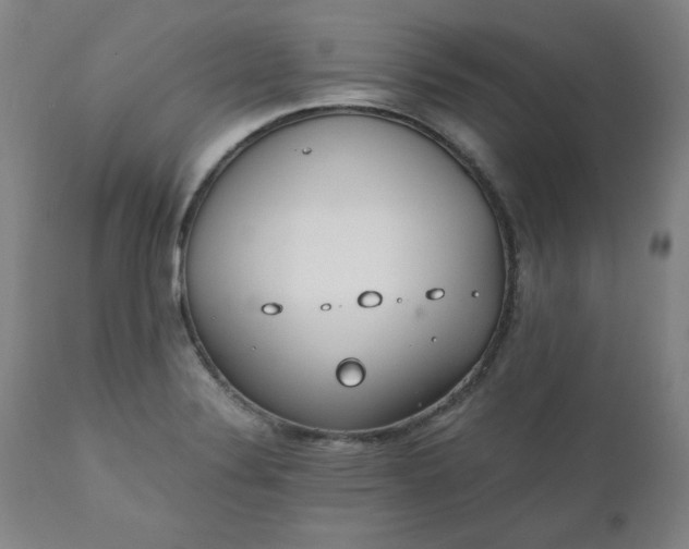 X0000110911324200907021425