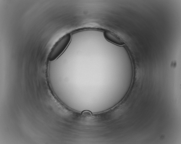 X0000110911326200907021425