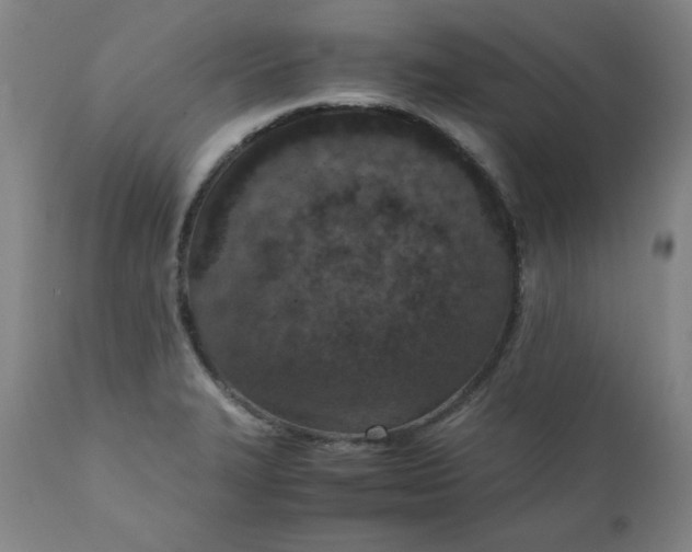 X0000110911327200907021425