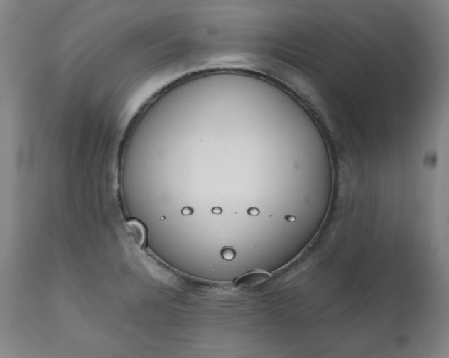 X0000110911328200907021425