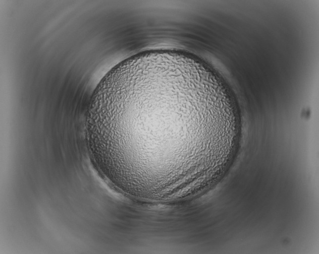 X0000110911329200907021426