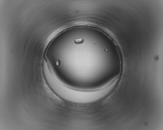 X0000110911330200907021426