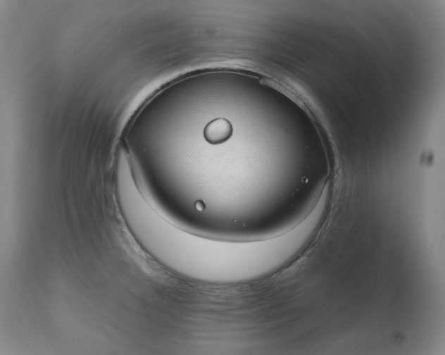 X0000110911332200907021426