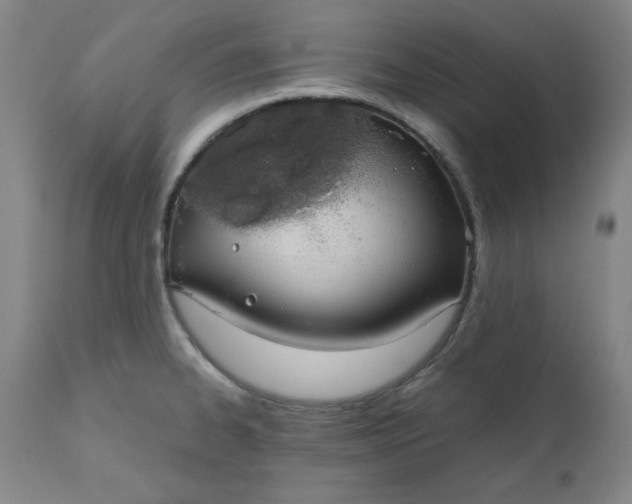 X0000110911334200907021426