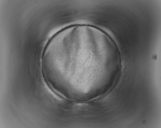 X0000110911335200907021426