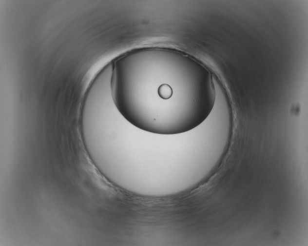 X0000110911336200907021426