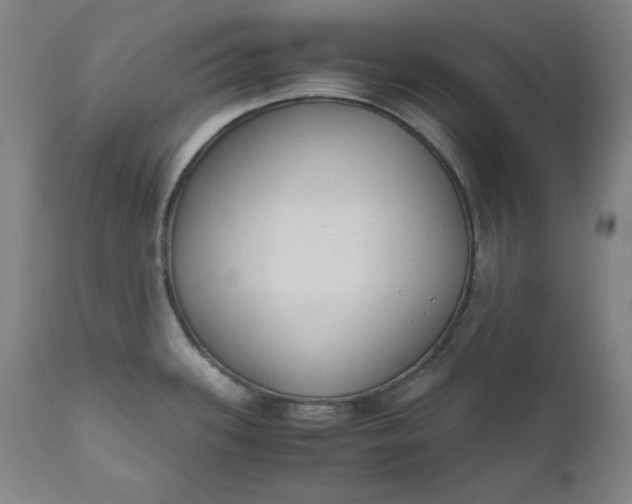 X0000110911339200907021426