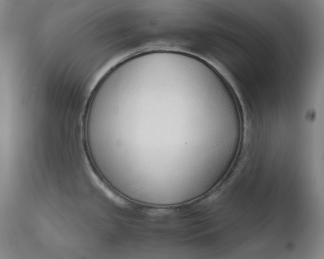 X0000110911341200907021426