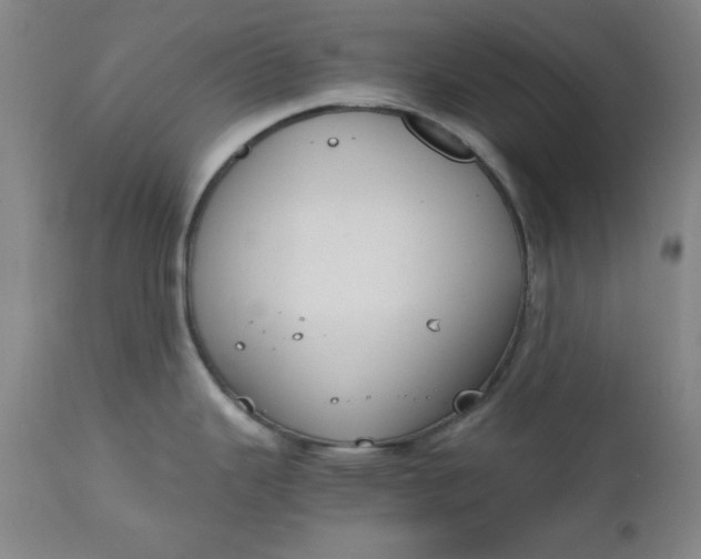 X0000110911343200907021426