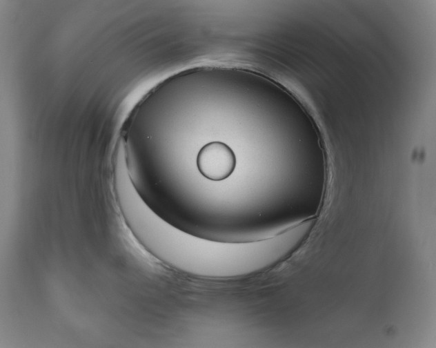 X0000110911344200907021426