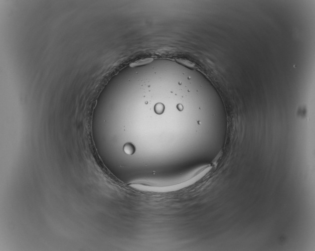 X0000110911345200907021425