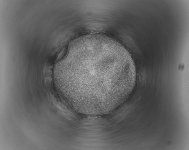 X0000110911346200907021425