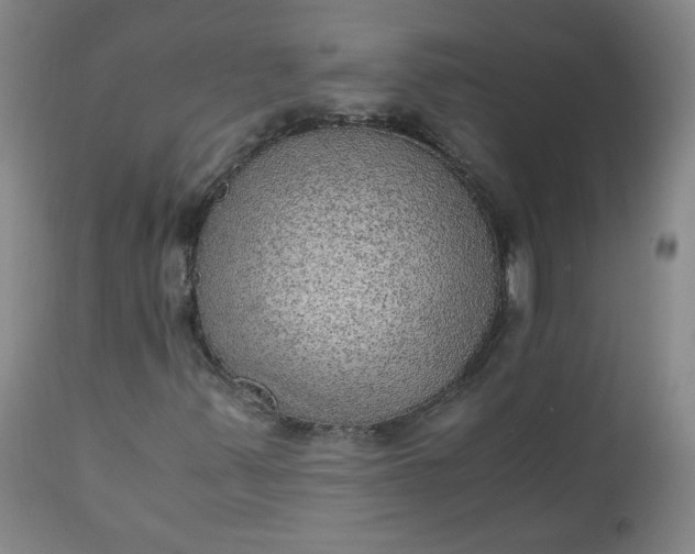 X0000110911347200907021425