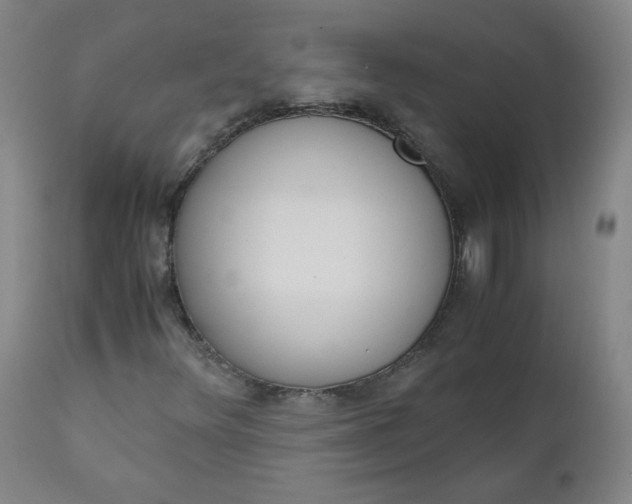 X0000110911348200907021425