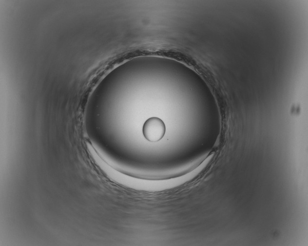 X0000110911349200907021425