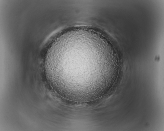 X0000110911351200907021425