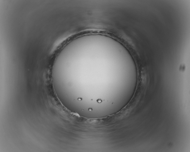 X0000110911352200907021425